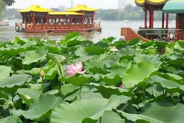 襄阳荷花湖门票多少钱一张