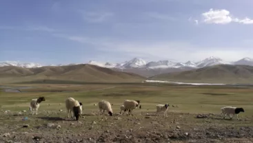 新疆自驾游攻略 新疆有什么旅游景点