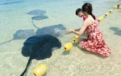 海南暑假亲子游 开启夏日狂欢之旅