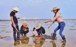 海花岛哪个地方可以赶海？什么时候是赶海的最佳时间