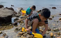 三亚亚龙湾赶海最佳地点 亚龙湾有哪些其他赶海地点推荐呢