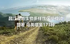 昌江湿地生物多样性保护成效显著 鸟类增至173种