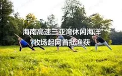 海南高速三亚湾休闲海洋牧场起网首批渔获