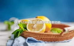 铁路12306推出 购票预填等新功能