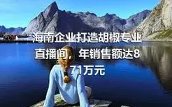 海南企业打造胡椒专业直播间，年销售额达871万元