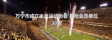 万宁市成立水上运动协会 首批会员单位30家