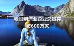 我国制造业企业总量突破600万家