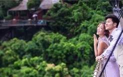 海南婚庆旅游之热带雨林婚礼